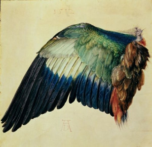 Albrecht Dürer, 15121512, Inspiration, Albrecht Durer, Wings, Art ...