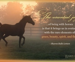 in collection: Equestrian Quotes