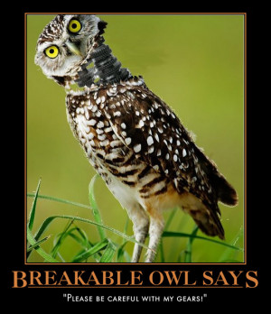 Owl Motivational