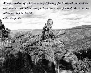 Wilderness Quotes
