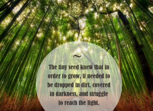 Inspirational Quotes and Messages #4