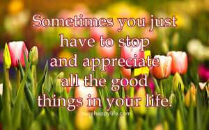 Life Quote: Sometimes you just have to stop and appreciate…