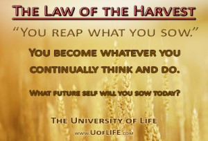 The Law of the Harvest simply states that “You reap what you sow.”