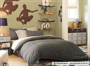 10 Inspirational Pictures for Teen Boys Bedroom Design Ideas boy-s ...