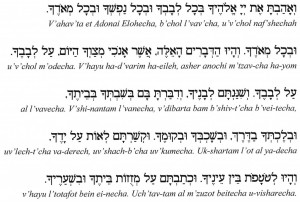 attached the passage called the v ahavta which are the verses from ...