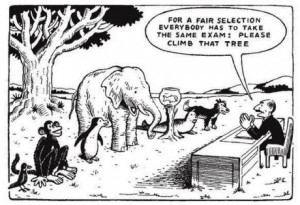 For a fair selection everybody has to take the same exam: Please climb ...