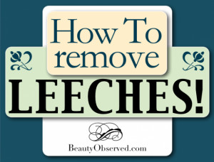 How to Remove Leeches Interesting article on spiritual issues.