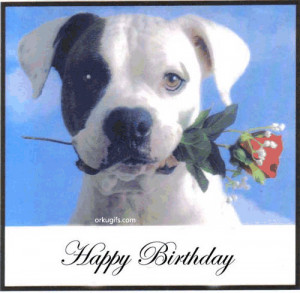 Happy Birthday Dog Animated Gif
