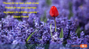Inspirational Wallpaper Quote. Chinese Proverb