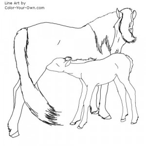 Horse Mare And Foal Coloring Pages