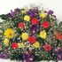 How to Make Funeral Flower Arrangements Using Real Flowers thumbnail
