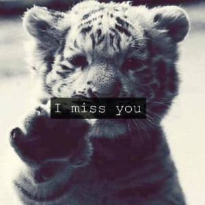 cute, i miss you, life, love you, missing you, pretty, quotes