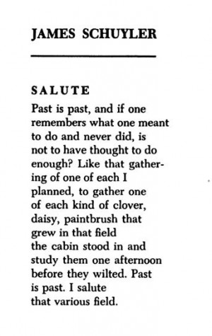 James Schuyler | I rather salute that various field my own self . .