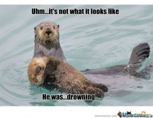 Sea Otter Meme