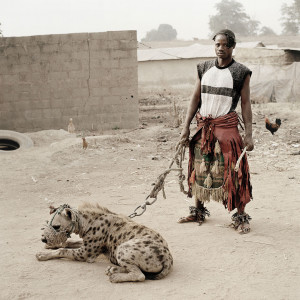 ... gotsmile.net/images/2012/09/14/org-nigerian-pet-hyena_134763507369.jpg