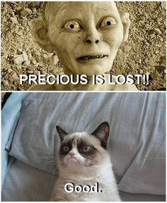 ... gollum more cat hate funnyness th hate precious rings funny funny