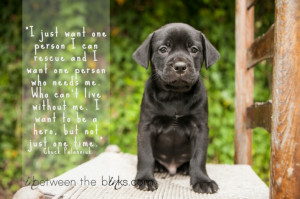 Project 52 – Words – Adorable dog quotes