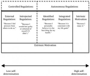 The Self-Determination Continuum of Motivation (with examples quotes ...