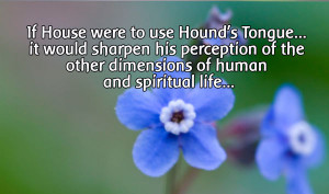 Those in extreme need of Hound’s Tongue may be baffled by the subtle ...