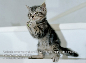 ... . Neither Do I. Maybe That’s Why We Get Along” - Charles Bukowski