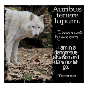 WOLF LATIN QUOTE TERRENCE POSTERS