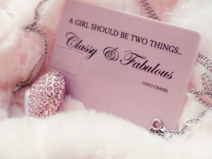The Girly Girl's USB & Wallet Drive ~ Classy, Fabulous & PINK!