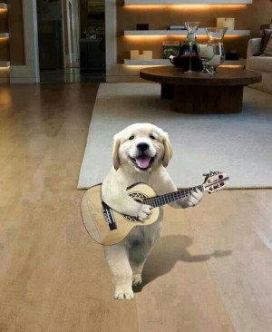 Guitar Hound Dog!