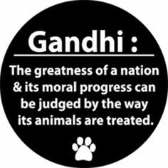 Gandhi quotes