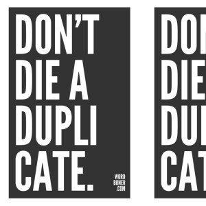 Duplicate by WRDBNR.deviantart.com