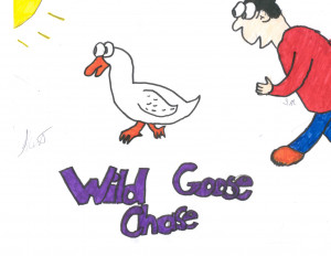 Wild Goose Chase,