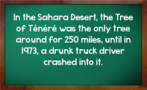 ... funny truck driver quotes and sayings the life of the truck driver