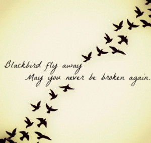 Alter Bridge Blackbird Lyrics