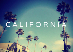 america, beach, ca, california, cute, fashion, girl, love, palm trees ...