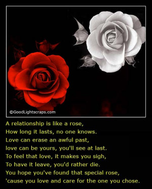 Happy Rose Day Friends for My Love Images with Quotes