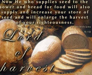 Bible.org's commentary on today's (and yesterday's) readings in Second ...