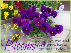 April 30, 2014 by marilyn Leave a Comment