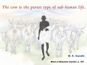 quotes cow