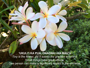 ... the flower, yet it scents the grasses around it. – Hawaiian Proverb