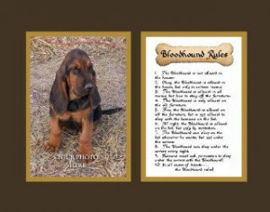 Dog Rules Bloodhound Wall Decor Pet Saying Dog Saying Decorative ...