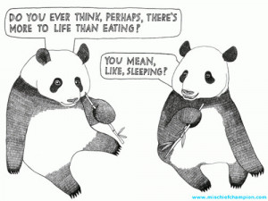 panda quotes tumblr