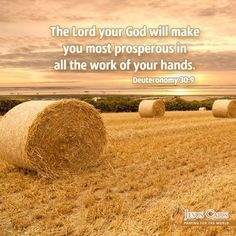 The Lord will make you most prosperous in all the work of your hands ...