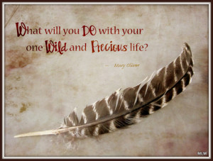 Your One Wild and Precious LIfe