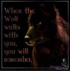 The spirit of the wolf has always been with me. He walks beside even ...