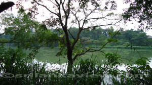 Save Nature's Habitats