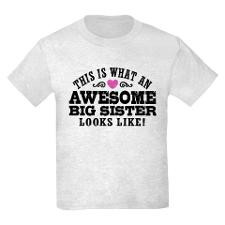 Awesome Big Sister Kids Light T-Shirt for