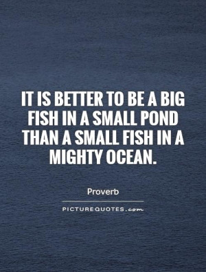 ... in a small pond than a small fish in a mighty ocean Picture Quote #1