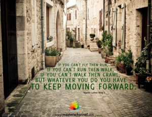 If you can't fly, then run... KEEP MOVING FORWARD. ~MLK