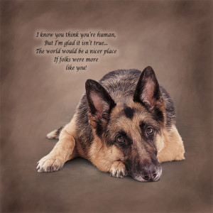 German Shepherd Sayings