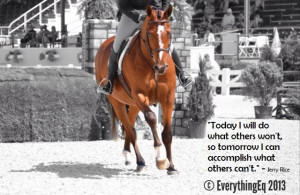 Equestrian Inspiration: Focus