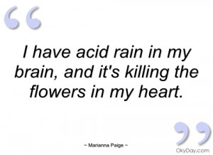 have acid rain in my brain marianna paige